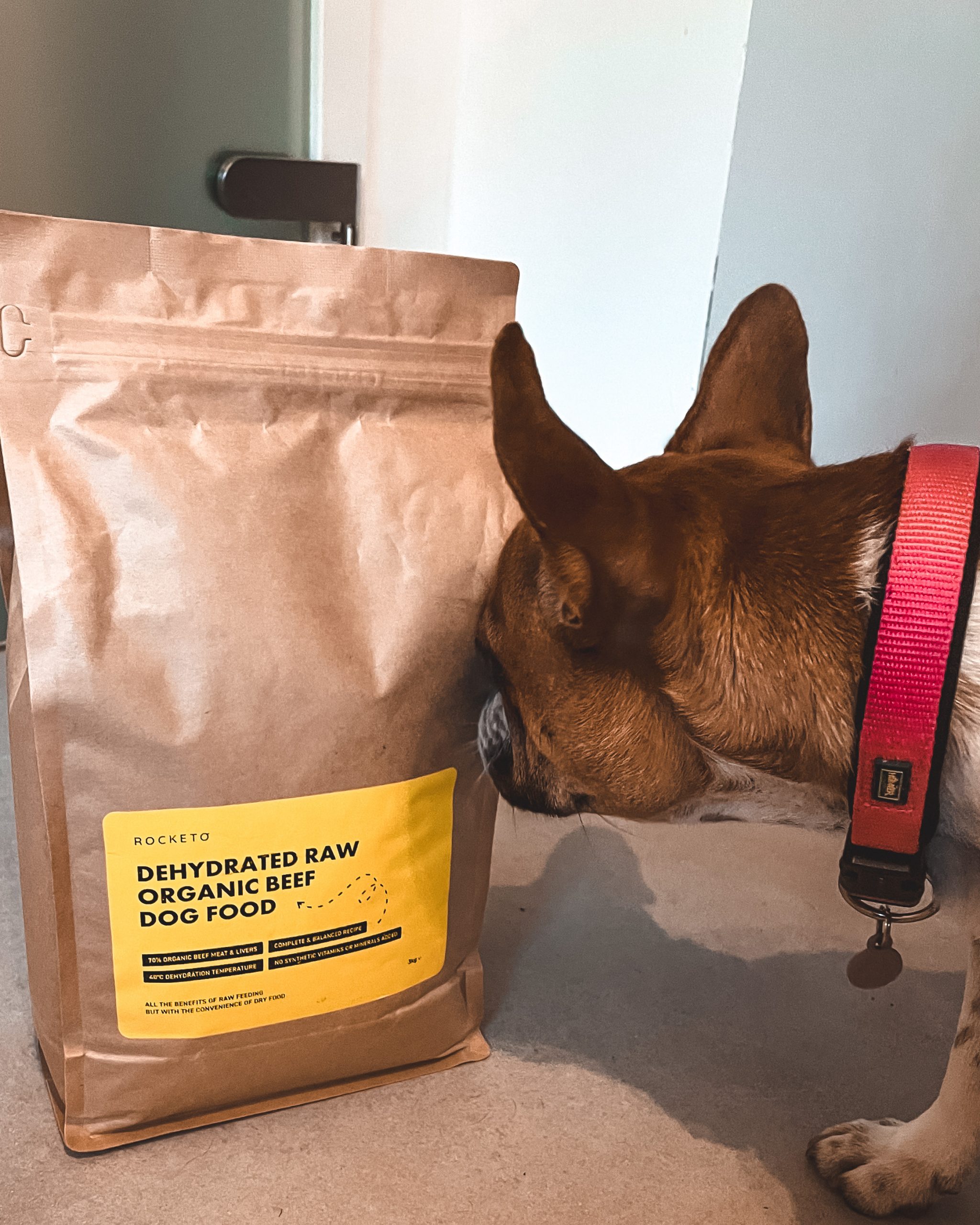 Dehydrated RAW Organic Dog Food ROCKETO