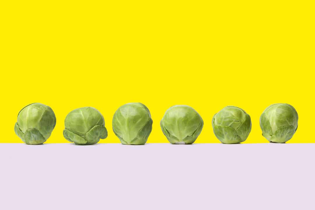 Seasonal Produce in dogs diet Brussel Sprouts