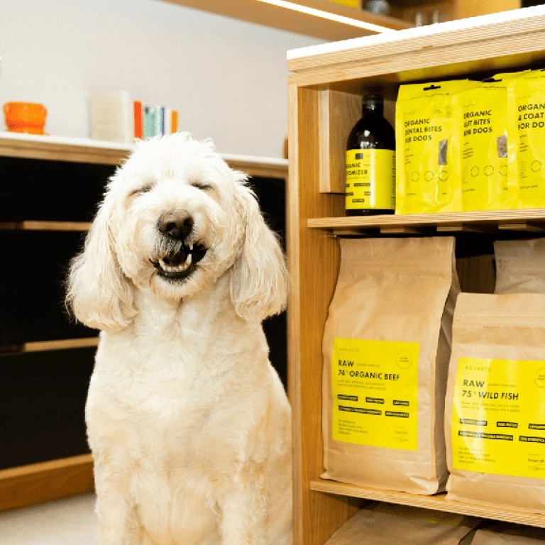 Dehydrated Raw Dog Food ROCKETO