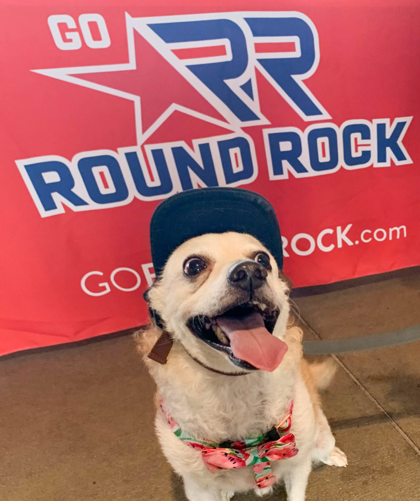 DogFriendly Spots in Round Rock Round Rock TX