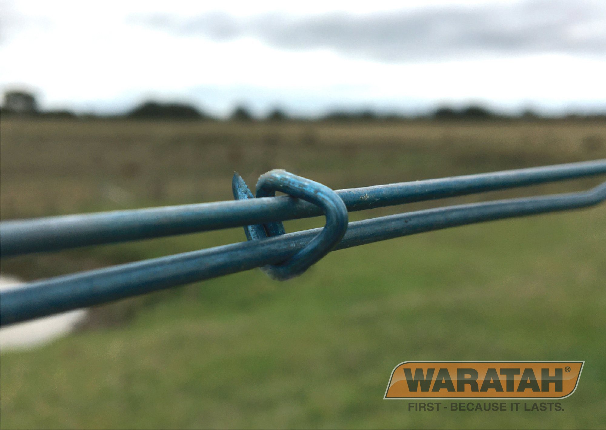 WARATAH RING FASTENER Gorst Rural