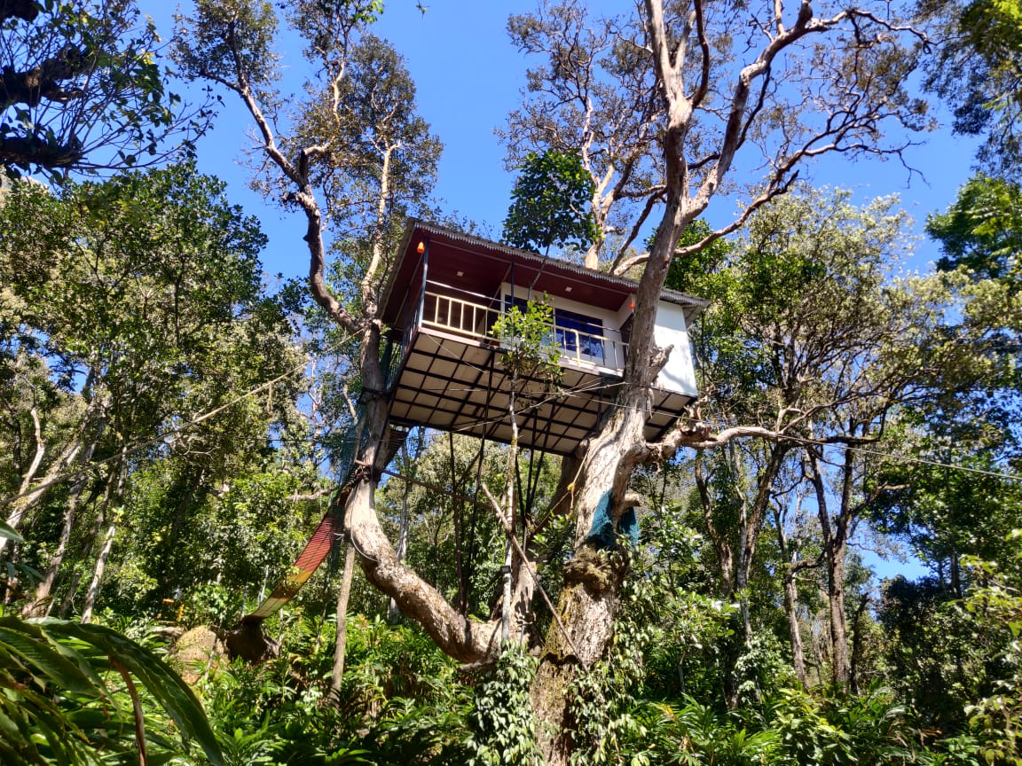 Incredible Collection of Full 4K Tree House Images Top 999+ Tree