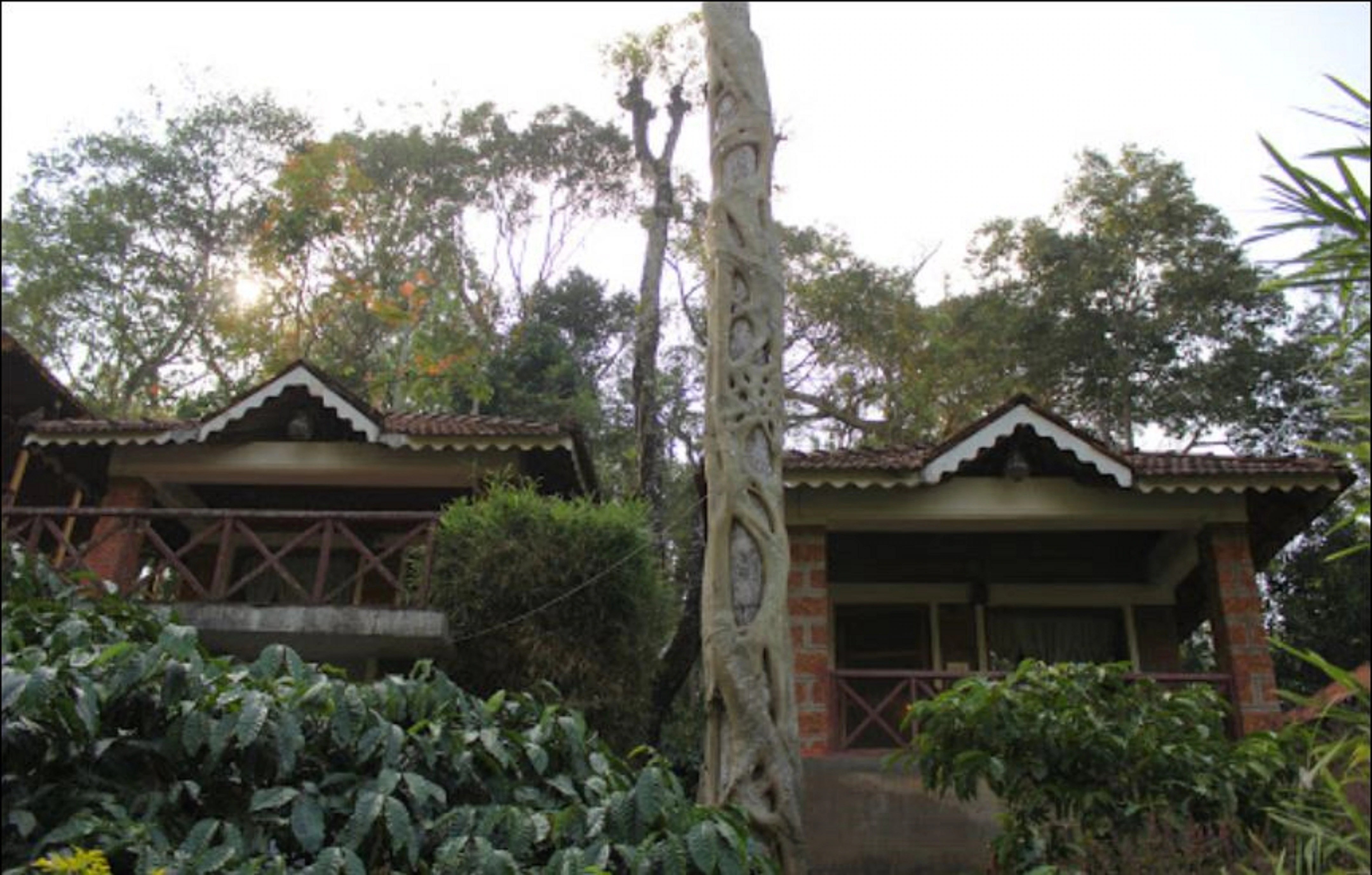 Forest Flower Homestay Rooms & Caretaker 𝗕𝗢𝗢𝗞 Homestay 𝘄𝗶𝘁𝗵