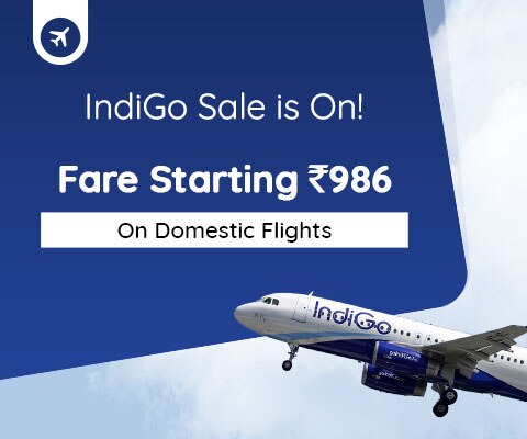 Indigo Airline Sale
