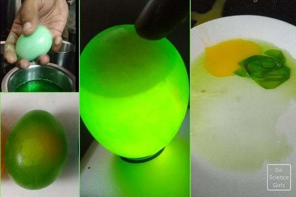 Rainbow Rubber Egg Science Experiment Go Science Girls