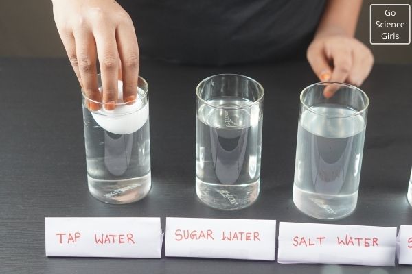 Floating Egg Science Experiment ( Using Salt, Sugar & Saline Water)