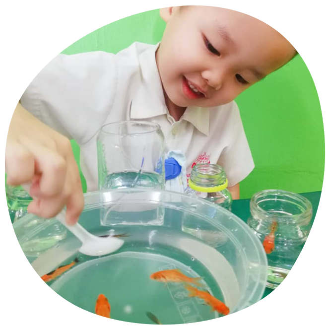 Childhood Training Centre Malaysia Kids Programme Malaysia Early