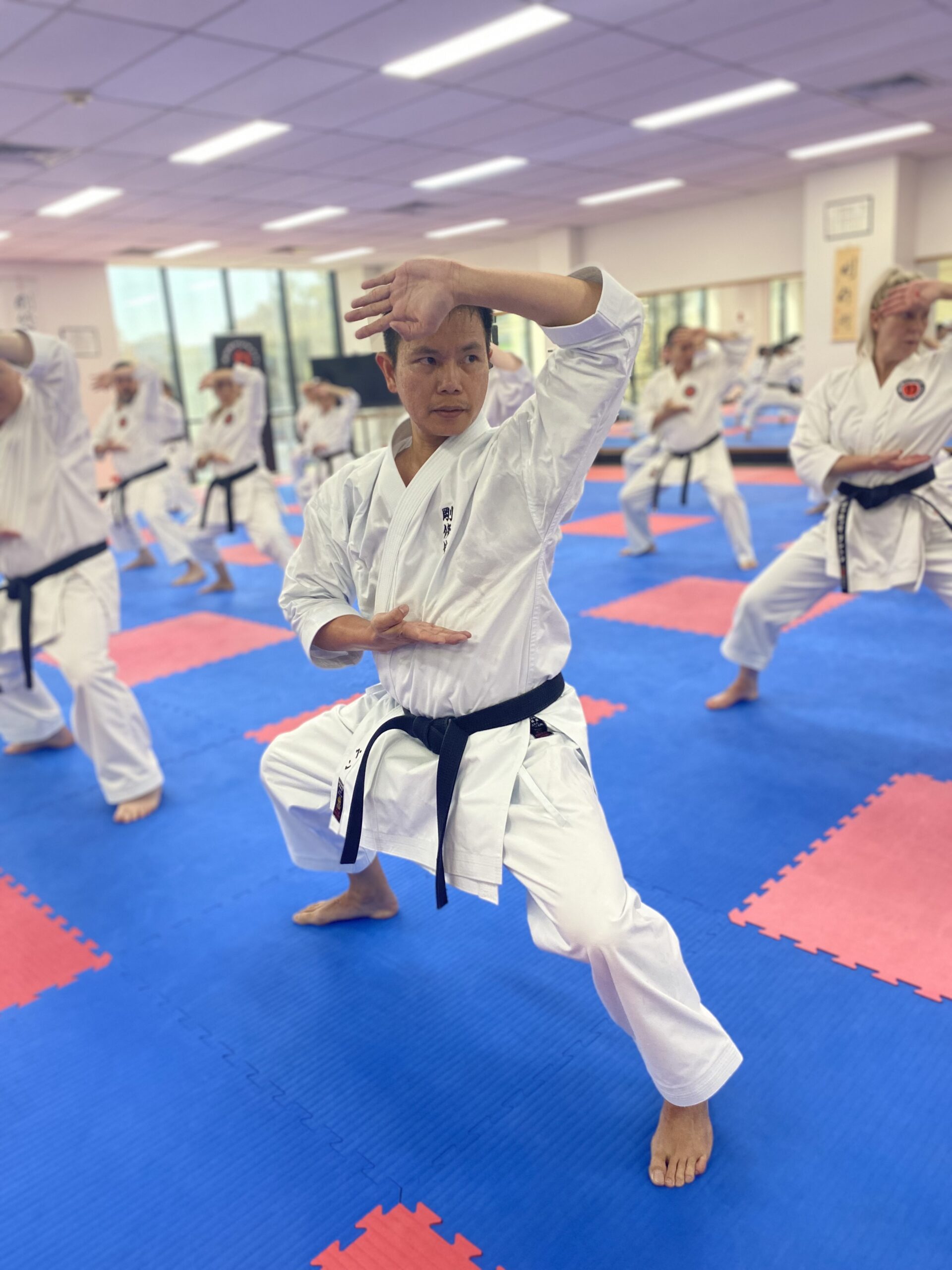 Adults Karate Goshukan Karate Academy