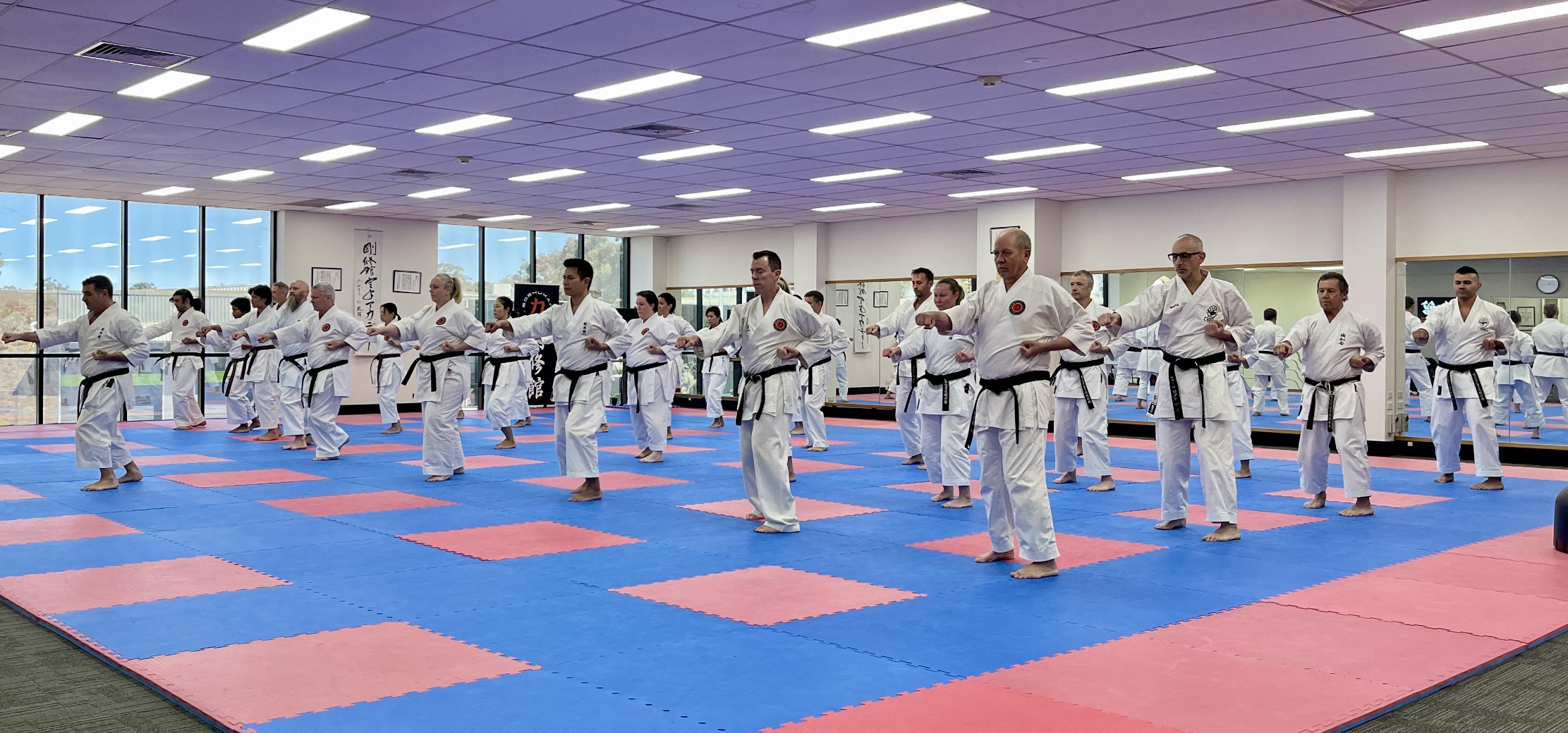 Adults Karate Goshukan Karate Academy