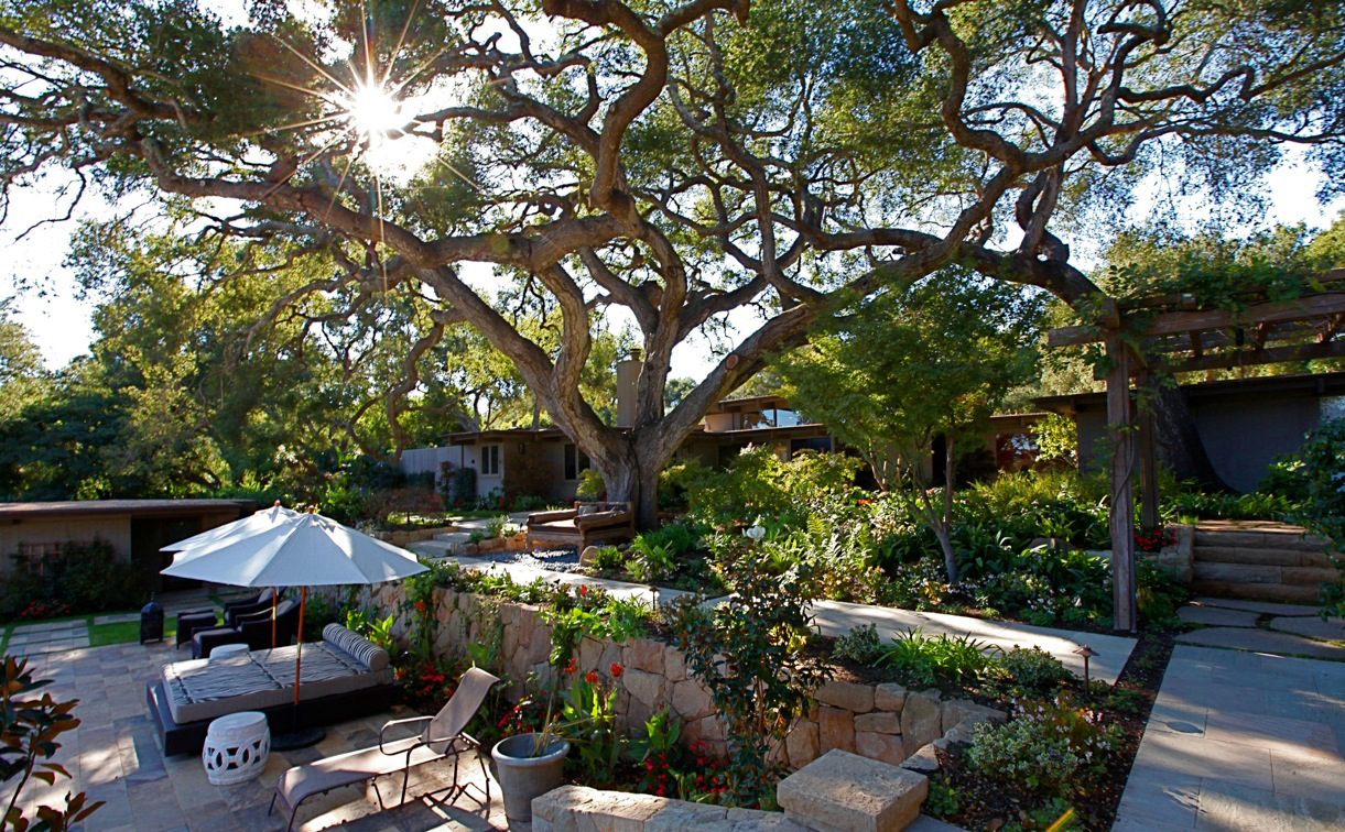 Century Estate Gosnell Tree & Landscape