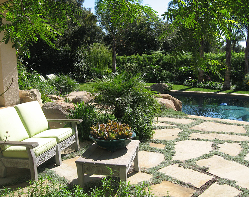 Contemporary Oasis Gosnell Tree & Landscape