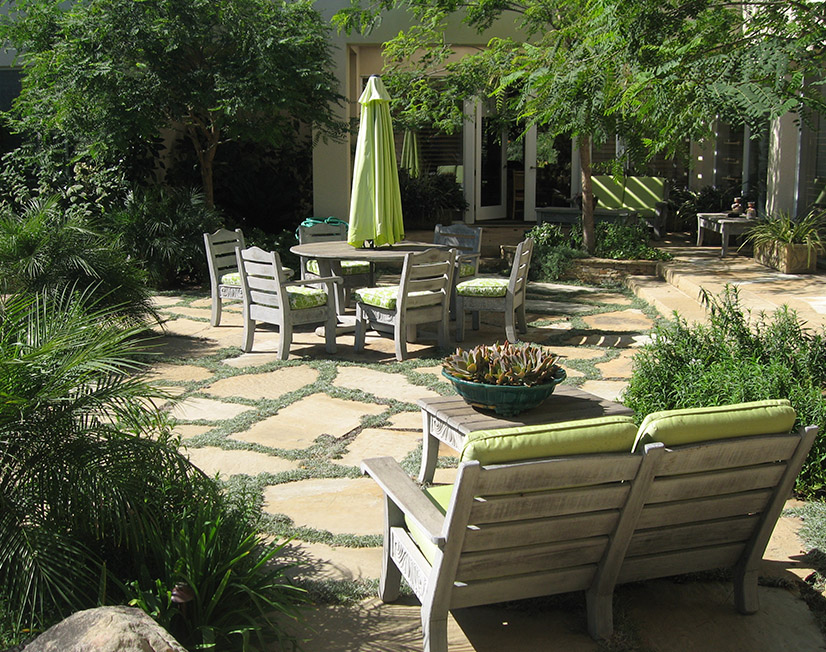 Contemporary Oasis Gosnell Tree & Landscape