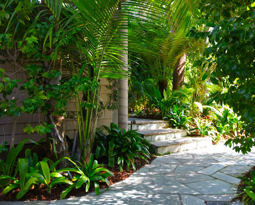 Beach House Gosnell Tree & Landscape