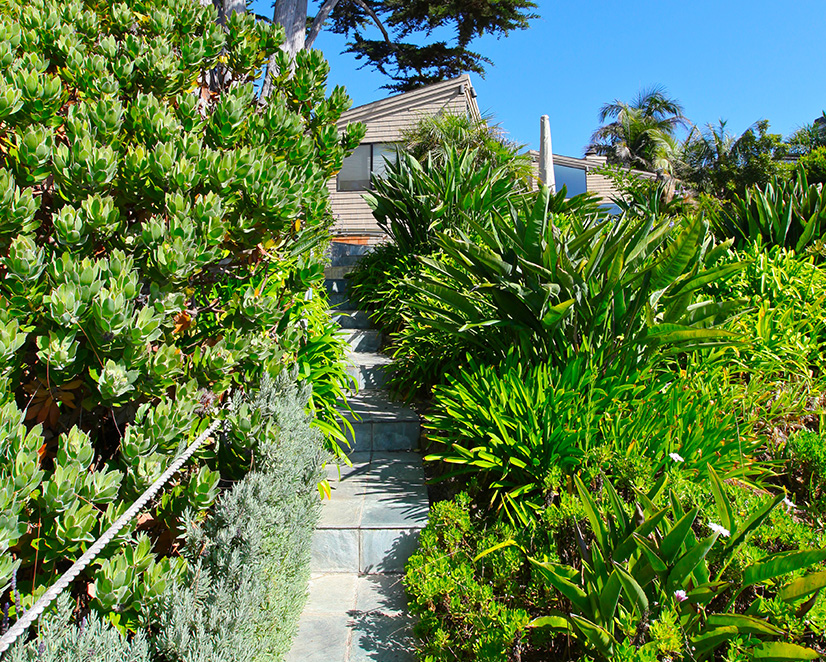 Beach House Gosnell Tree & Landscape