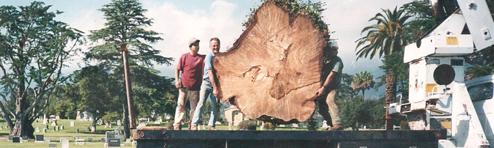 About Us Gosnell Tree & Landscape