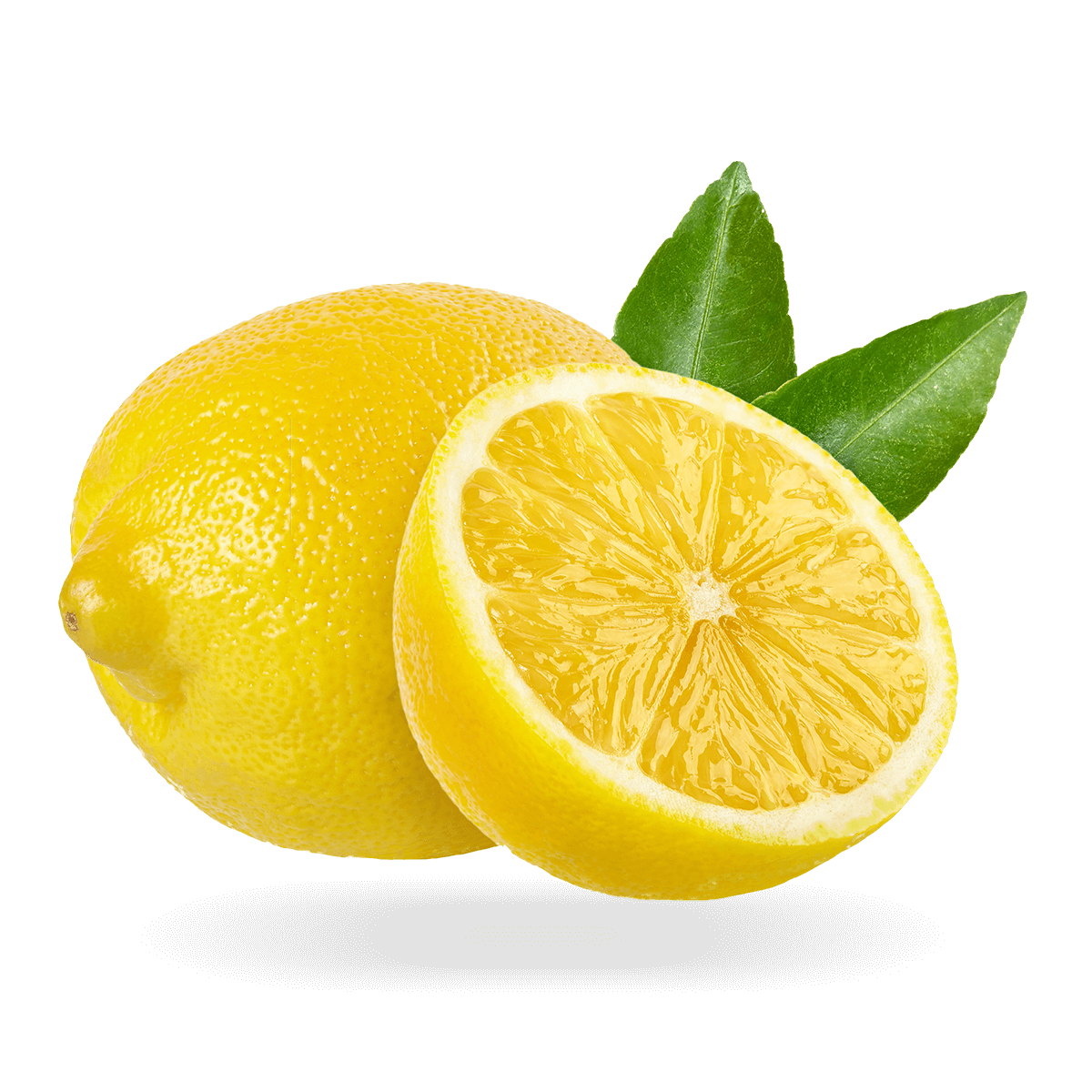 Eureka Lemon Gospa Citrus