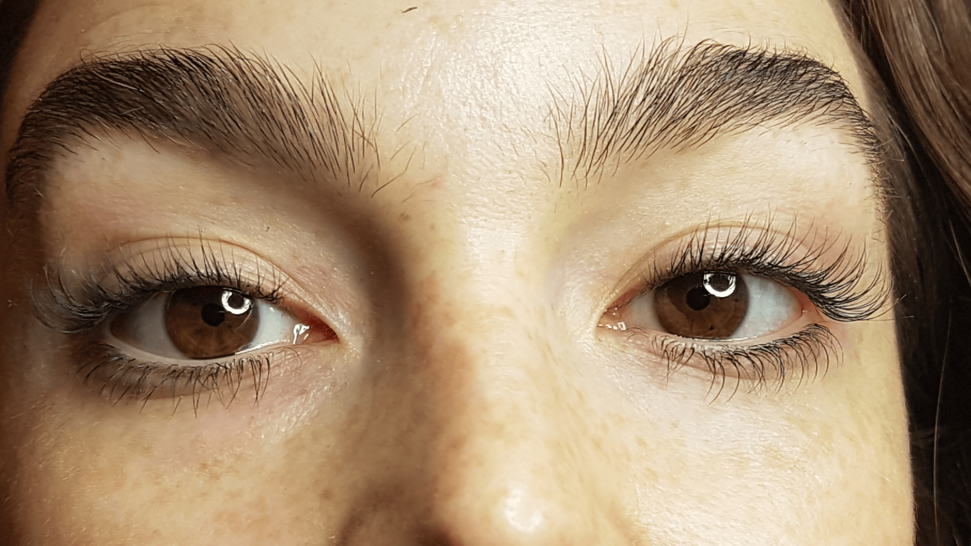 The Top 5 Lash Boutiques To Check Out This Month Goss.ie