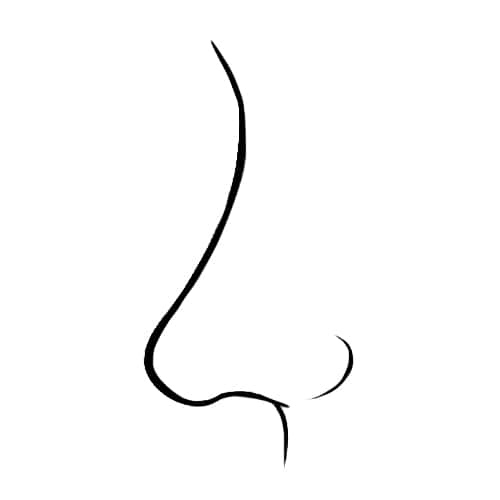 This Is What The Shape Of Your Nose Reveals About Your Personality