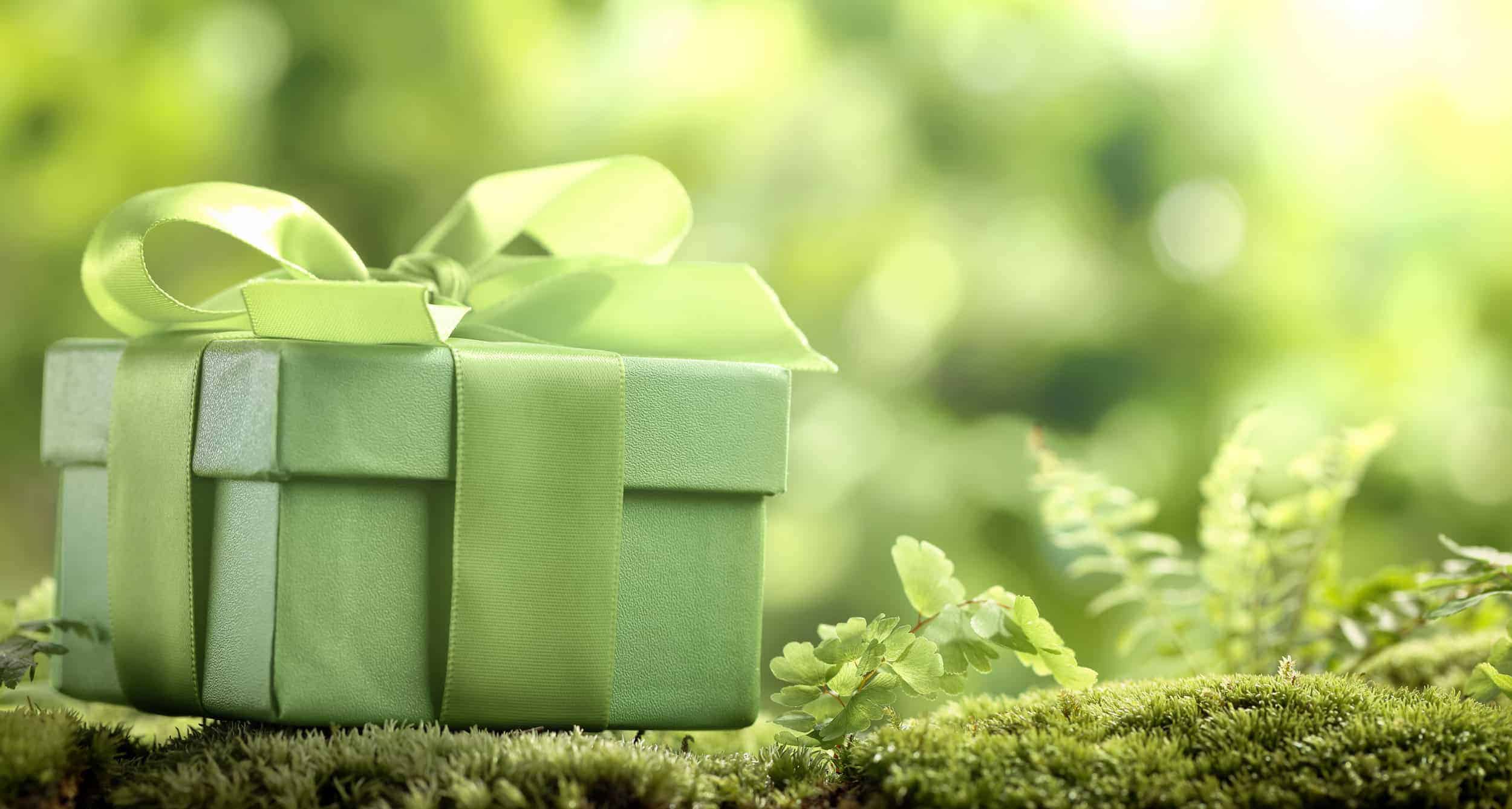 The Ultimate Green Gift Guide