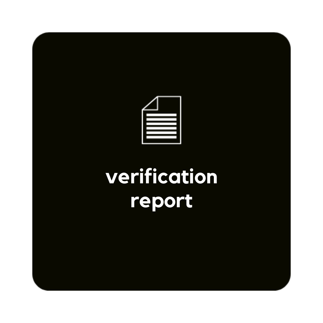 Verification Report got1099