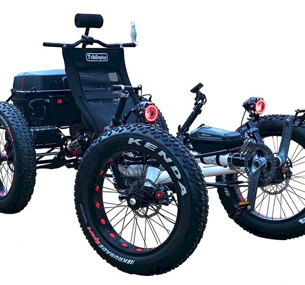 PowerBuggy DX Electric Four Wheels Scooter Got2getit