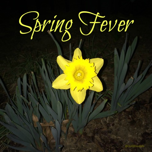 Recovering With Spring Fever Got2Run4Me