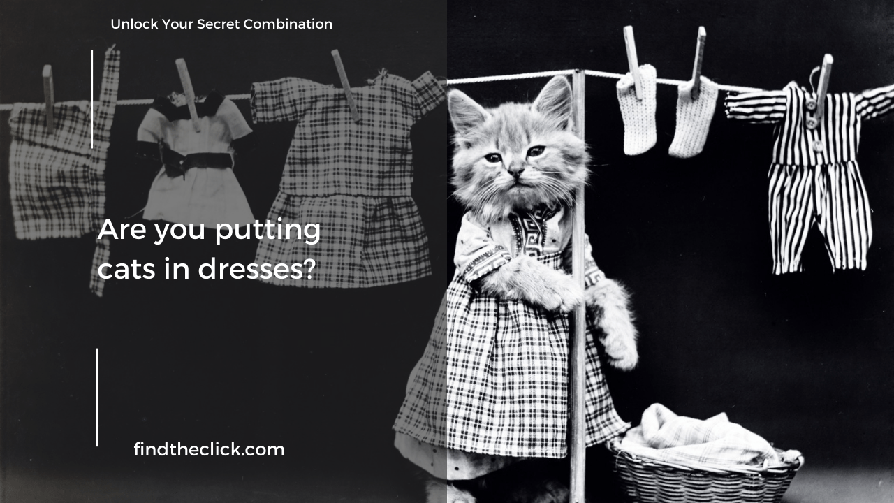 Are You Putting Cats in Dresses?