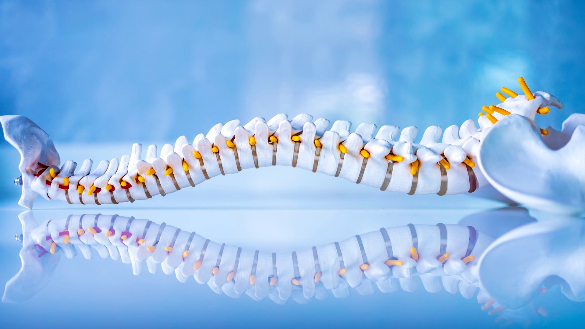 What causes the "Popping" noise during a chiropractic adjustment