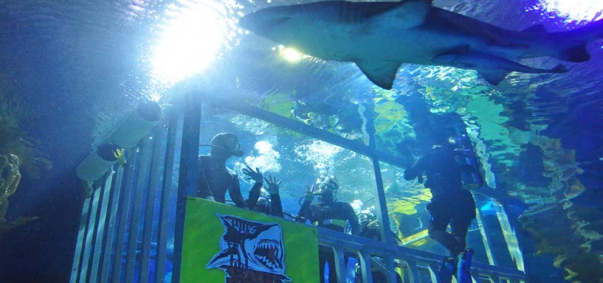 Aquaria KLCC Buy Ticket Online Best Deal
