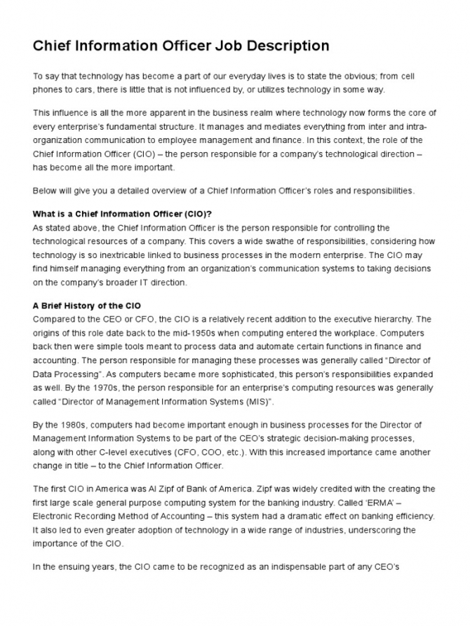 Chief Information Officer Job Description