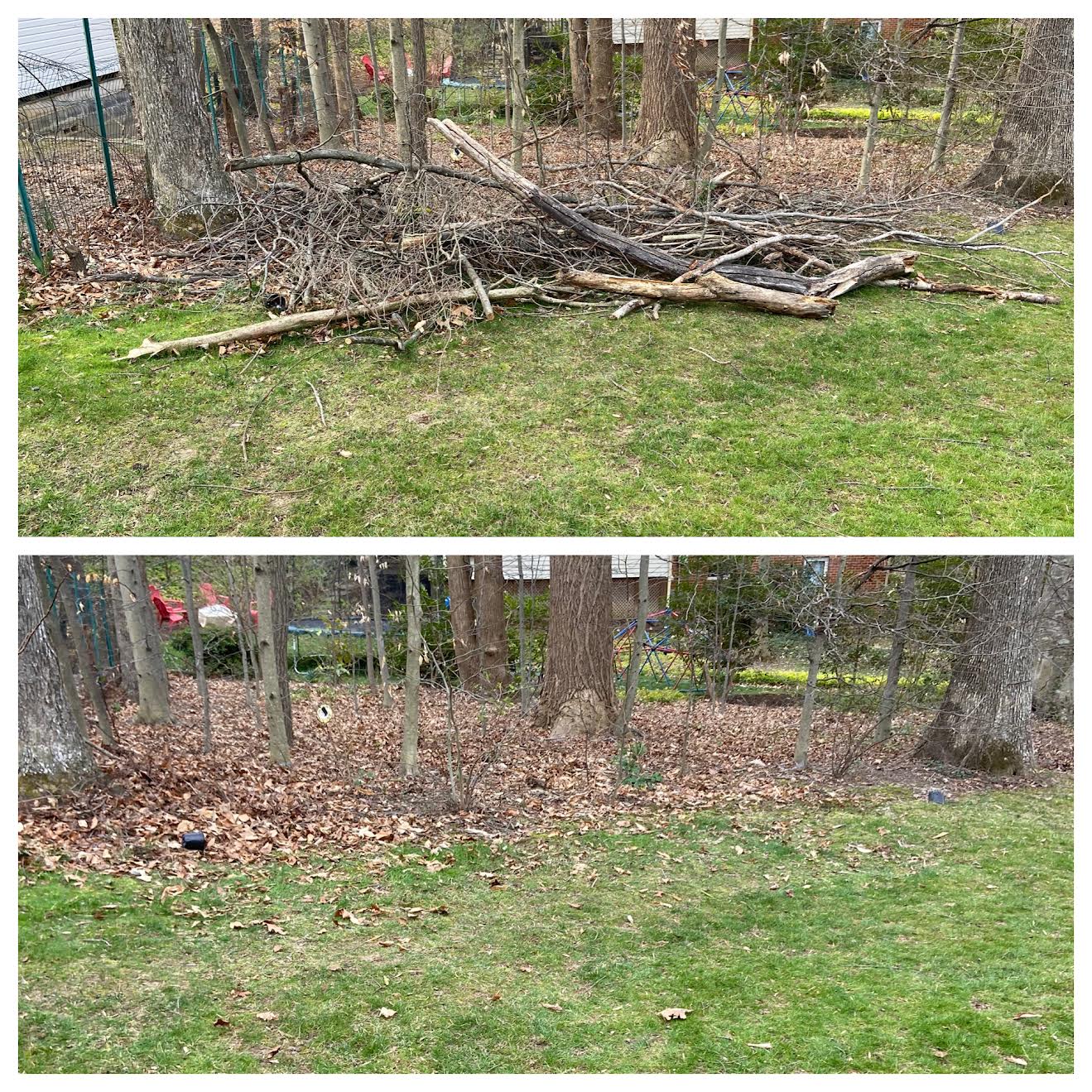 Yard Debris Got Odd Jobs