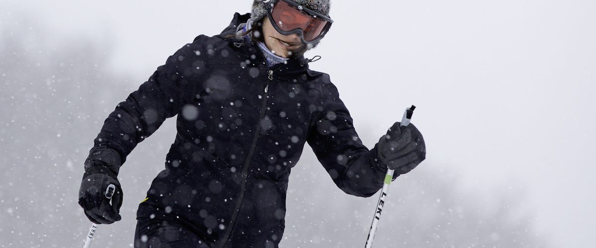 Beyond the pinnacle 4 more things to discover at Coopers Rock Almost Heaven West Virginia