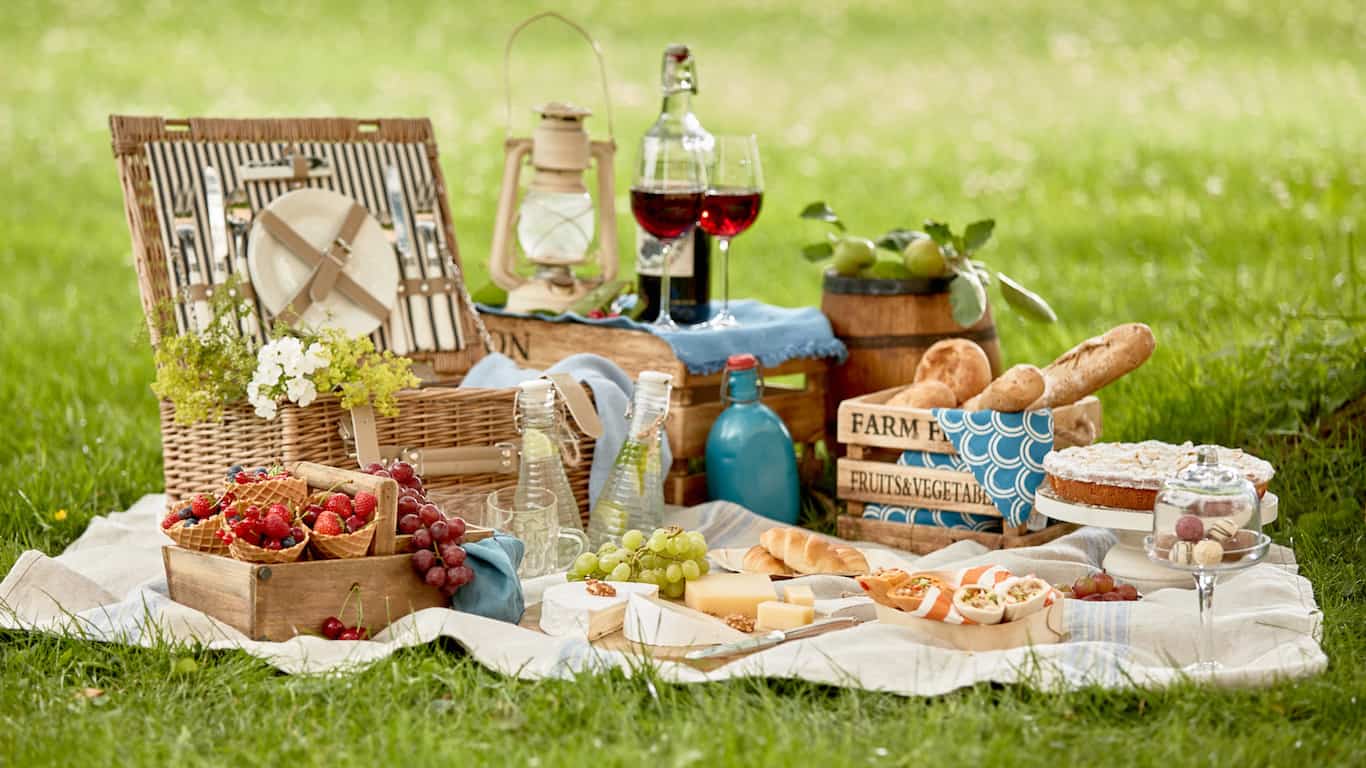 How to Start a Luxury Picnic Business in 2023 Guide, Tips