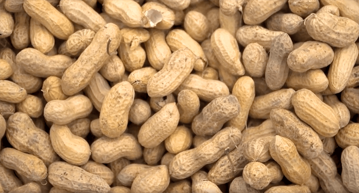 Got To Be NC Peanuts The Best Start Here Got to Be NC