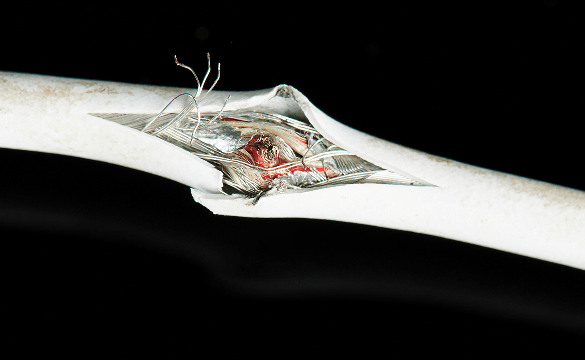 Federal Warranty Law Got Trouble