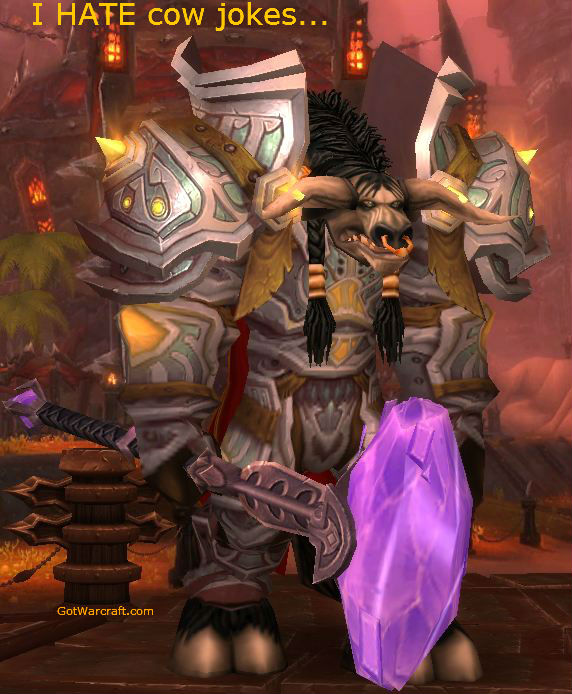Paladin Guide for the Mists of Pandaria