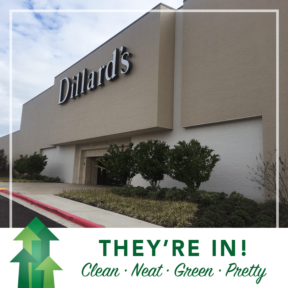 They're In Dillard's GoTXK