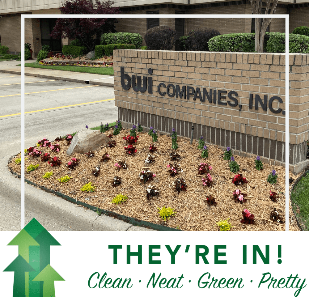 They're In BWI Companies GoTXK