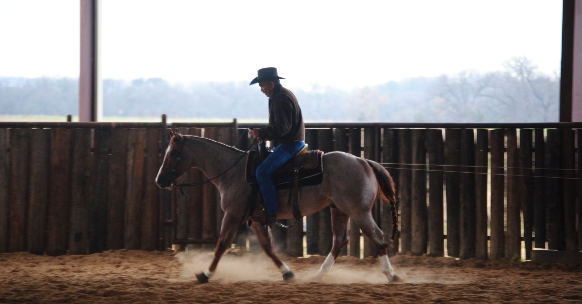 About Gould Ranch Cattle Company, Fort Colorado