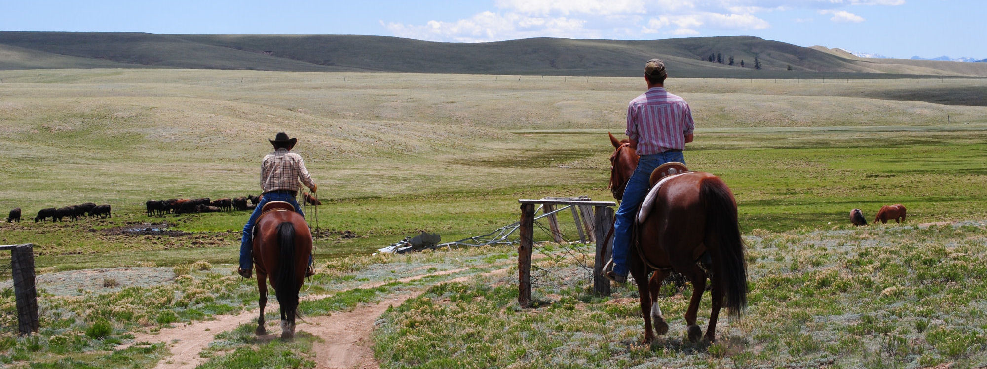 About Gould Ranch Cattle Company, Fort Colorado