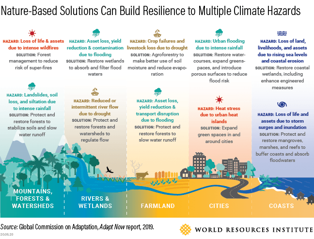 Scaling Up NatureBased Solutions for Climate Adaptation Goumbook