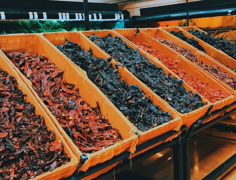 Aprende las diferencias entre el chile mulato y el chile ancho