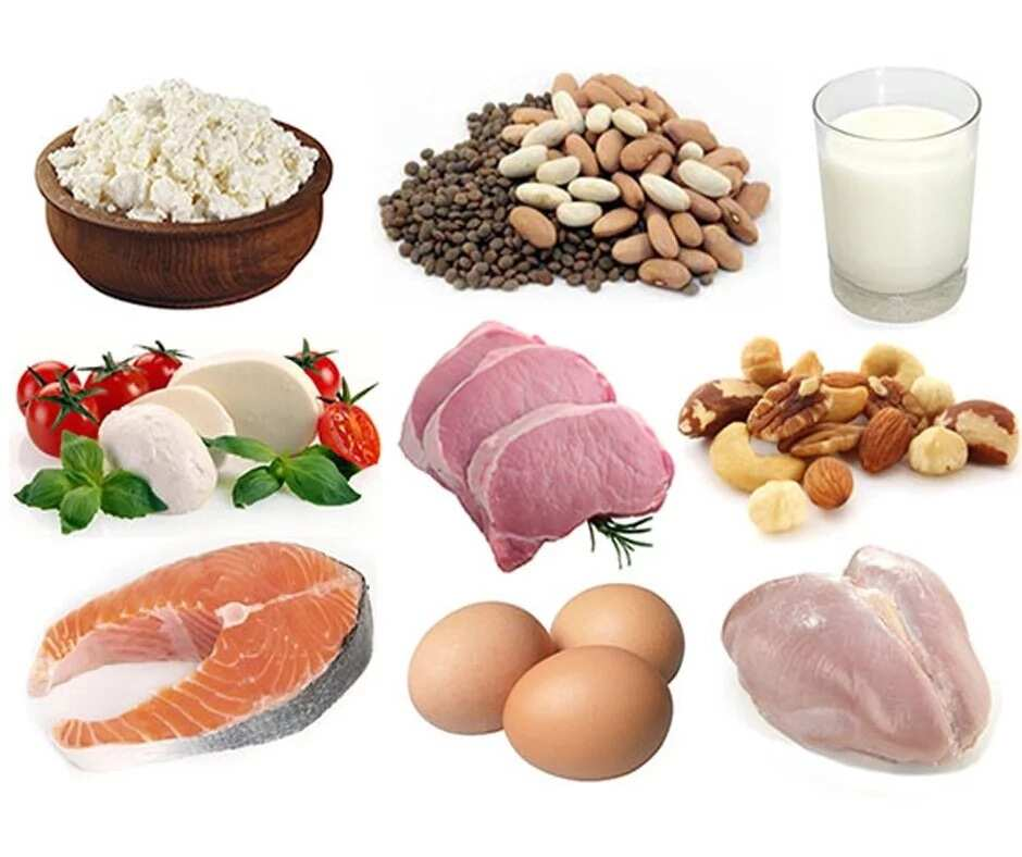 Protein in Nigeria Gourmet Guide234