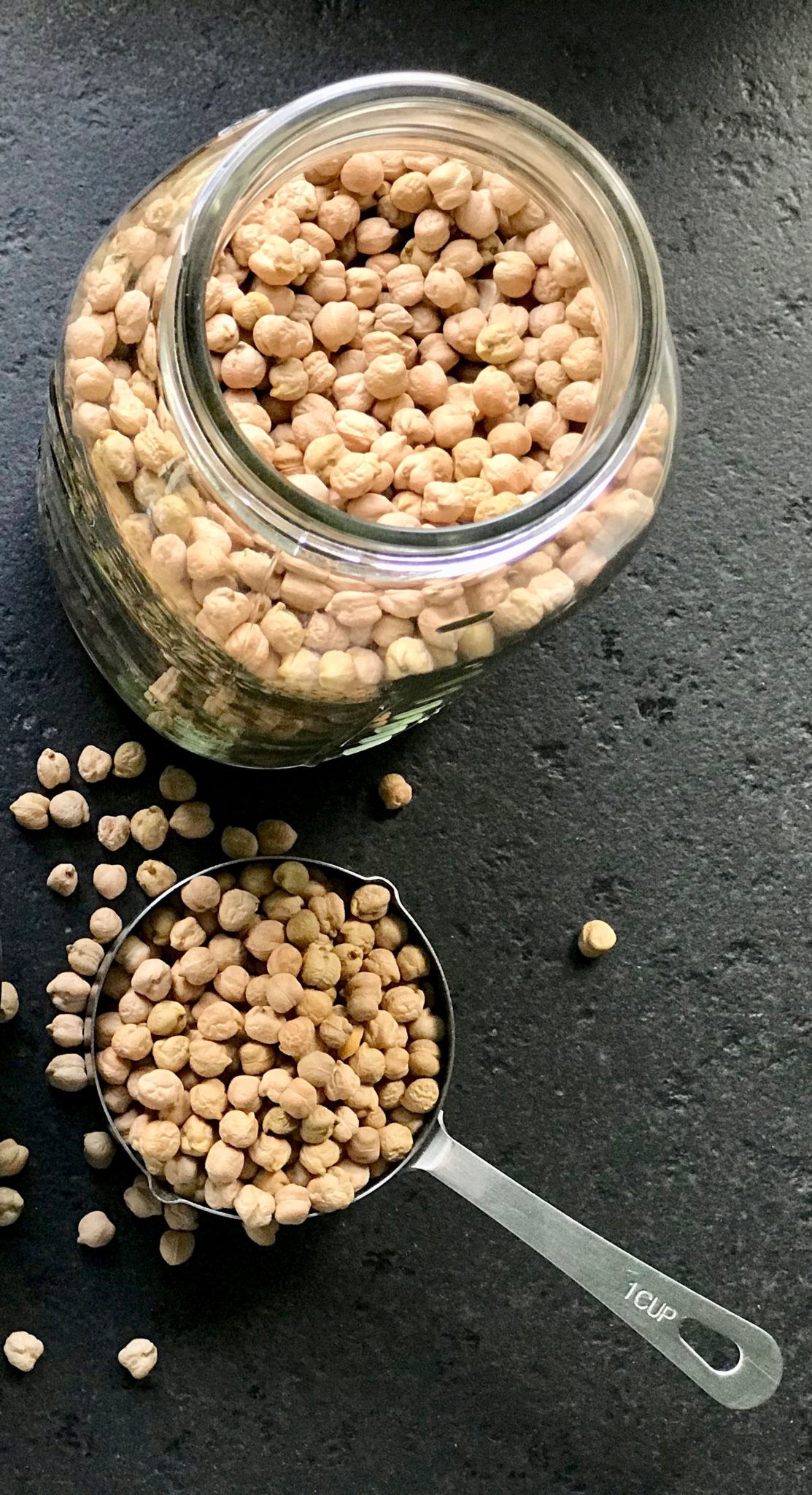 Sprouted Garbanzo Beans or Chickpeas Gourmet Vegetarian Kitchen