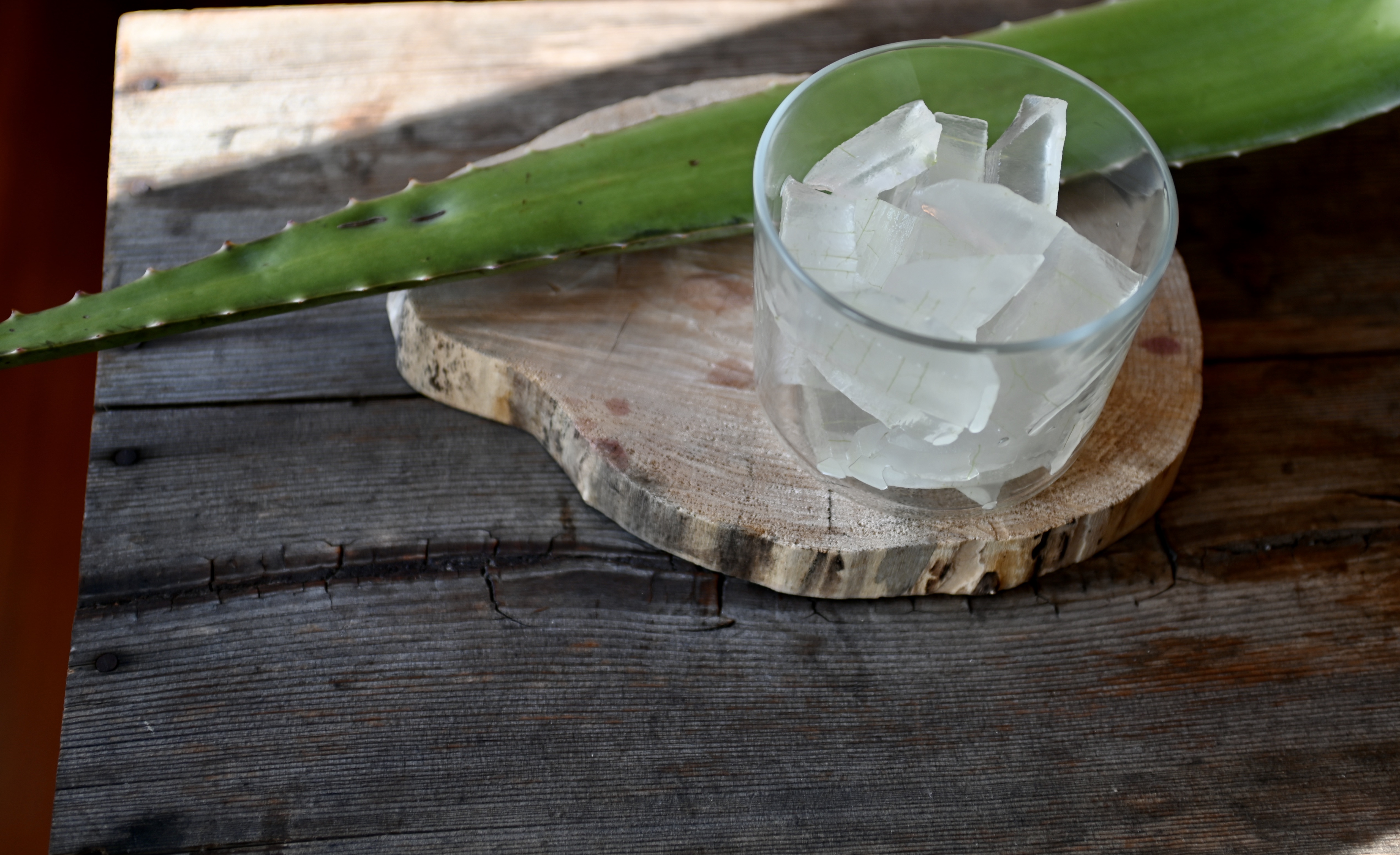Aloe Vera Jelly (a healthy dessert) Gourmet Vegetarian Kitchen
