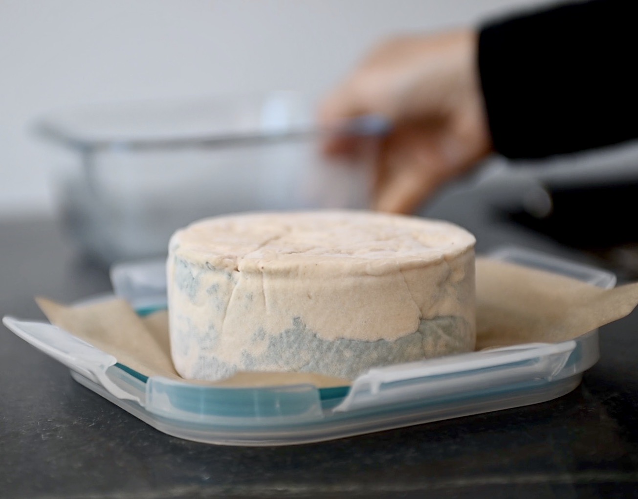 Vegan Blue Cheese ( Artisan Roquefort) Gourmet Vegetarian Kitchen