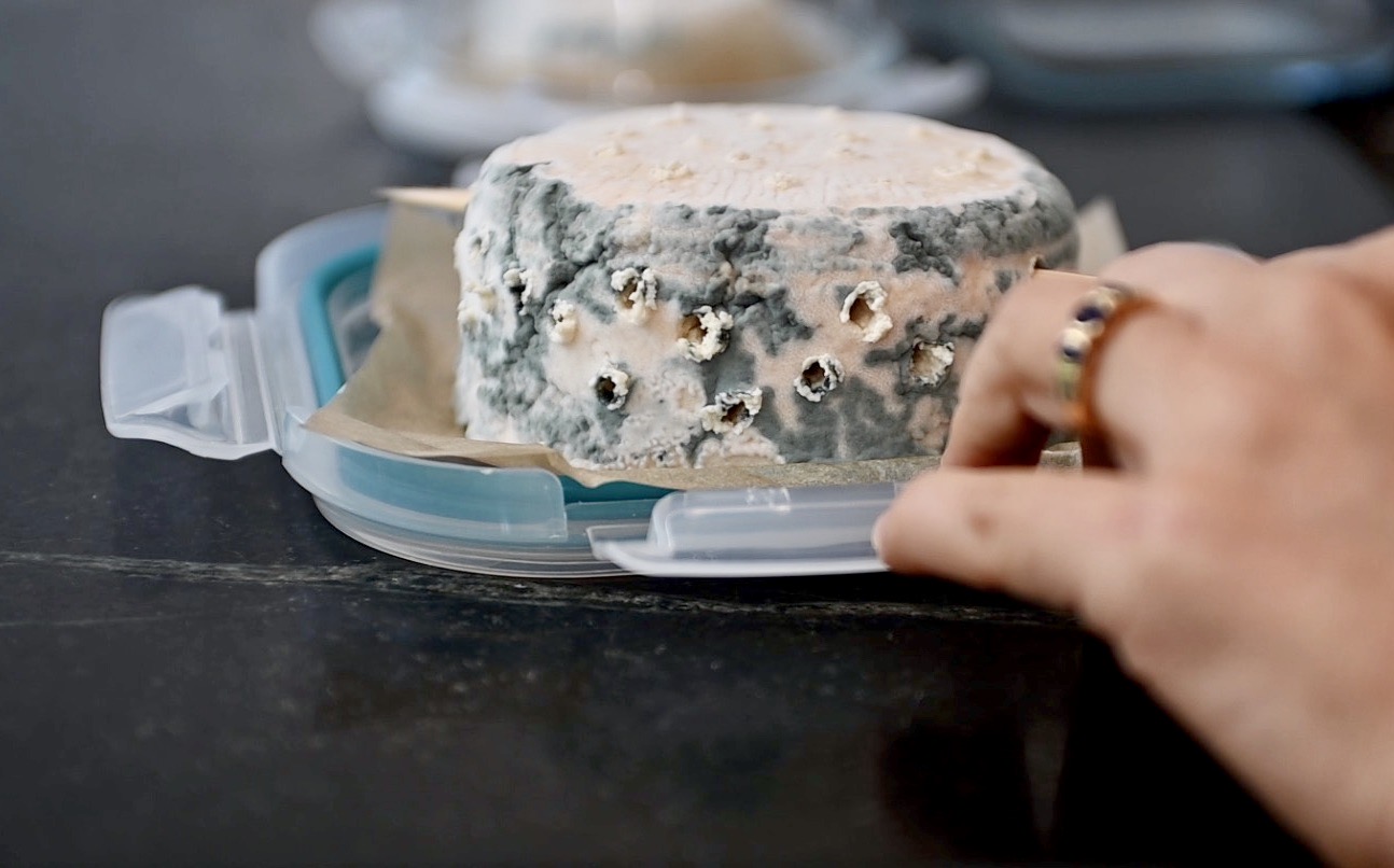Vegan Blue Cheese ( Artisan Roquefort) Gourmet Vegetarian Kitchen