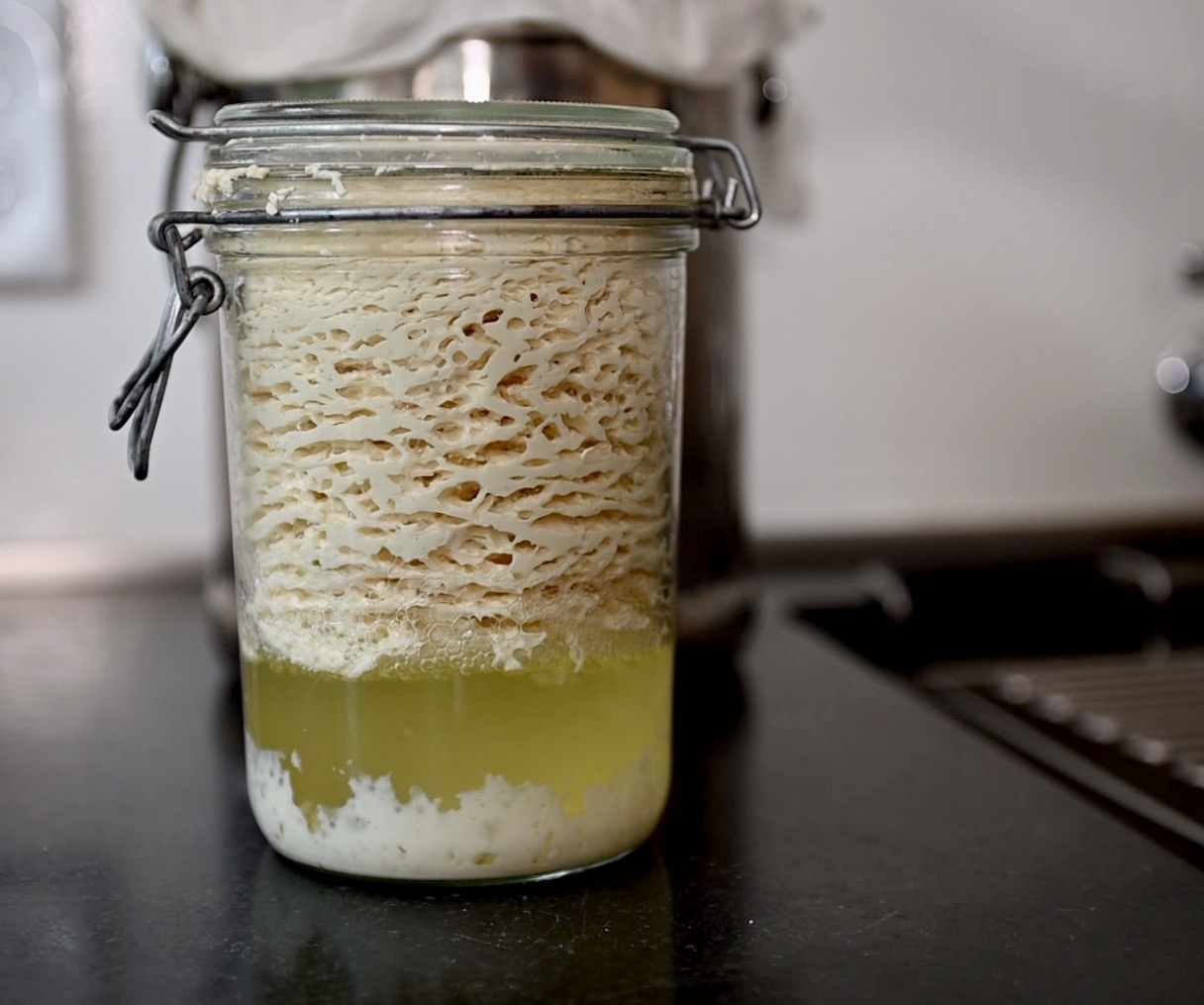 Vegan Yogurt Recipe Tofu at Roger Alger blog