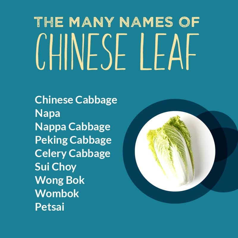 Everything you need to know about Chinese Leaf Gousto Blog