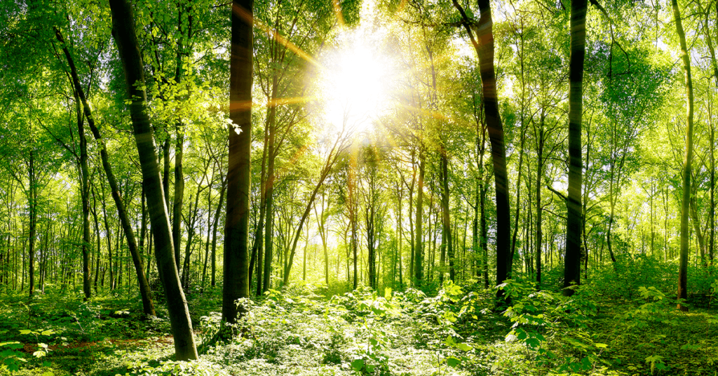 Oshkosh Offers Manufacture 2030 GHG Monitoring to Suppliers